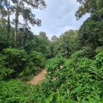 Tanah Dusun Kemin Ulu Klawang