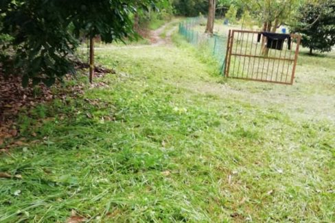 Tanah Kenaboi Jelebu