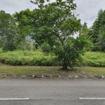 Bungalow Lot Bandar Bukit Mahkota Seksyen 9 Kajang