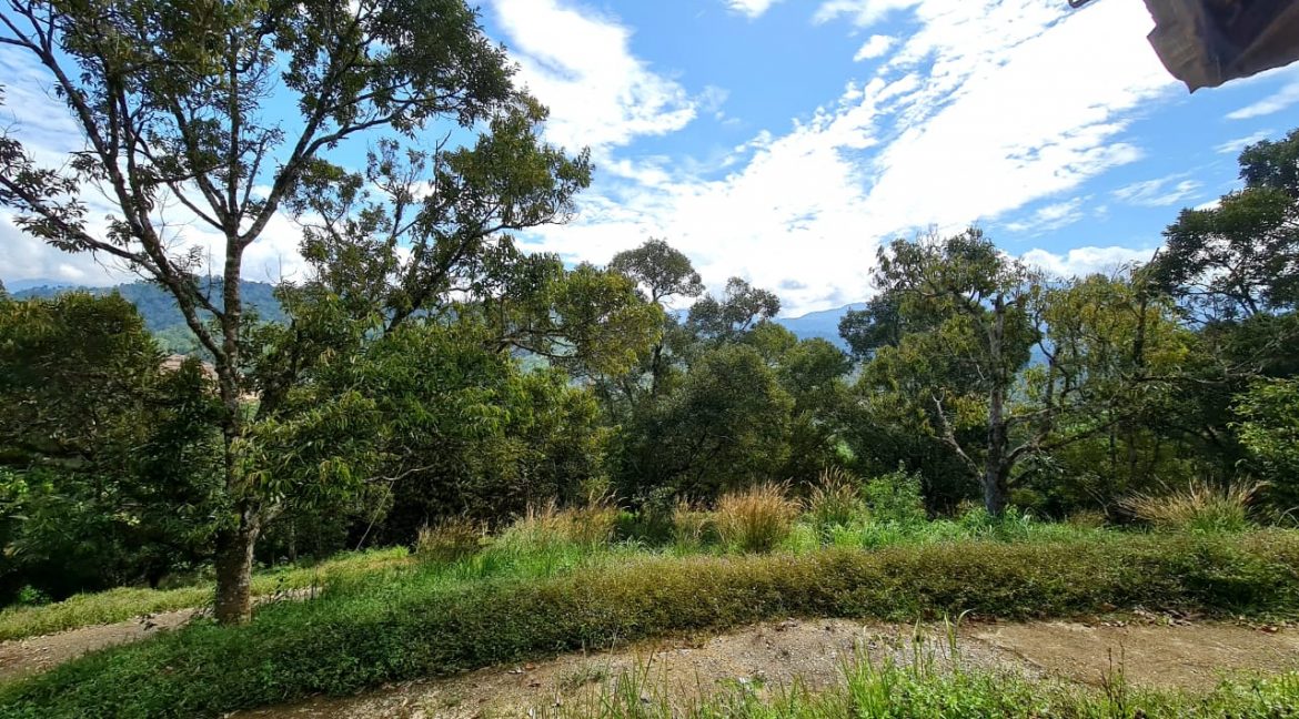 2839a626-e715-45d7-844c-4a21f8ca1858