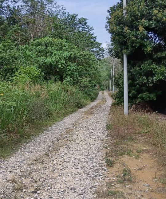 2b565ff7-b0c1-4b09-8e6a-8b67c4c568b6