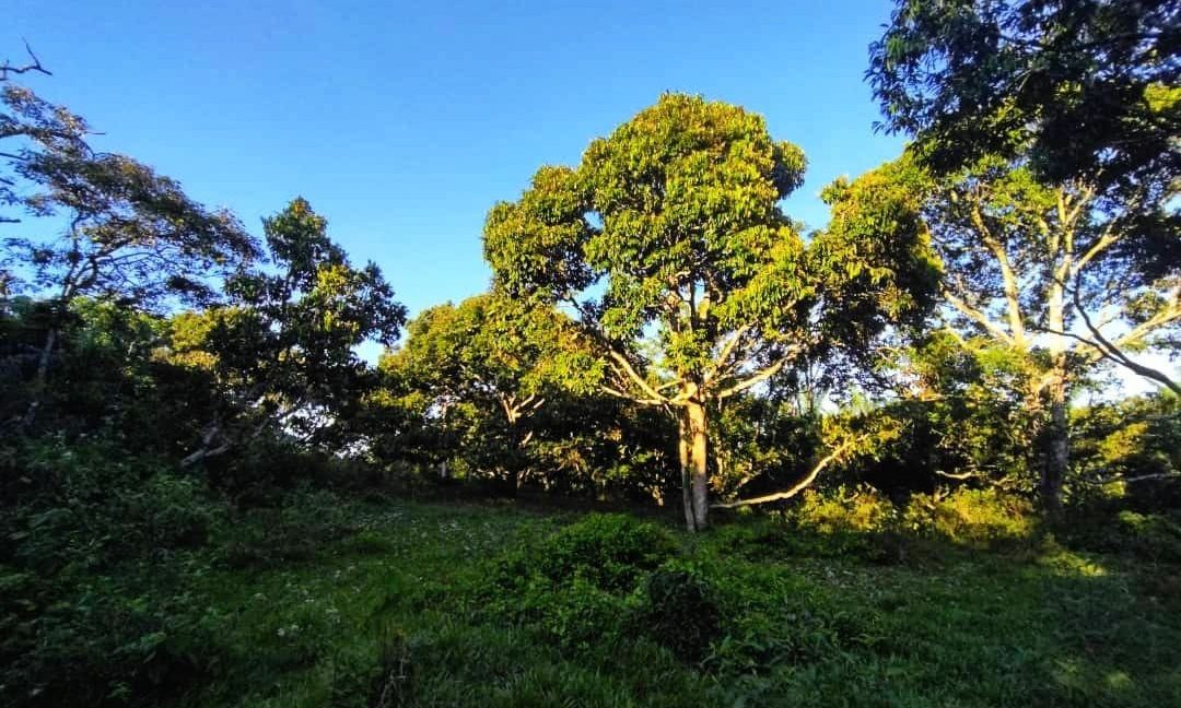 46e9d7f9-70a7-4afe-aa3e-ab223e778c77