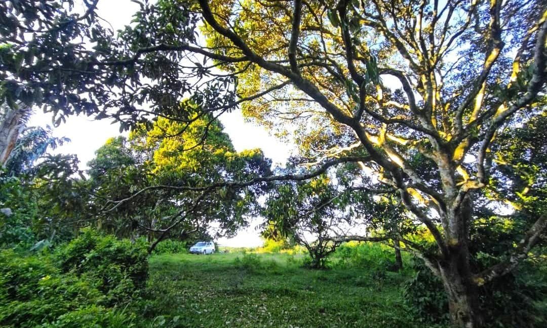 5e17f8db-b88a-42be-bef7-4deb3bc3eaea