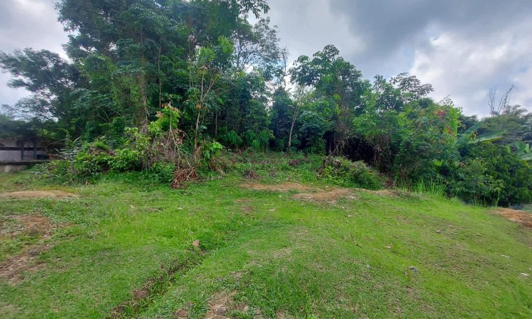 5ed704b1-8217-47b9-bbcf-a1bbd3287dec