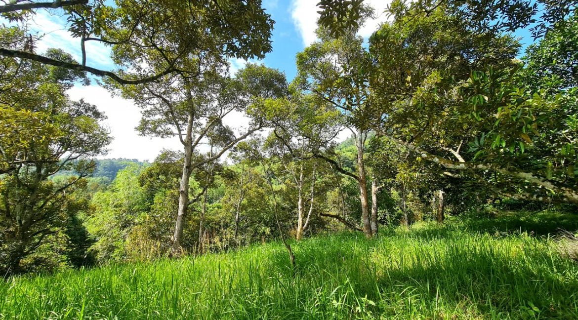 68a48f8f-9ab9-4647-beb5-15a498a81b31