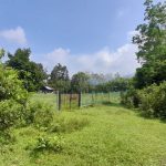 Tanah Kampung Gatuh Pantai