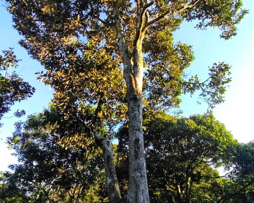 7abf462b-809e-4b15-a438-0a7ca2996b9b