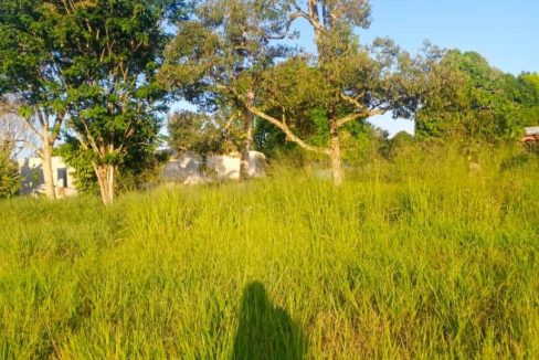 Tanah Lenggeng Mantin