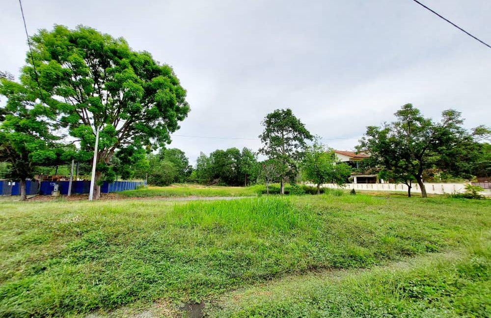 8c755824-ae28-4b8f-8e5b-46544c5d6ba9