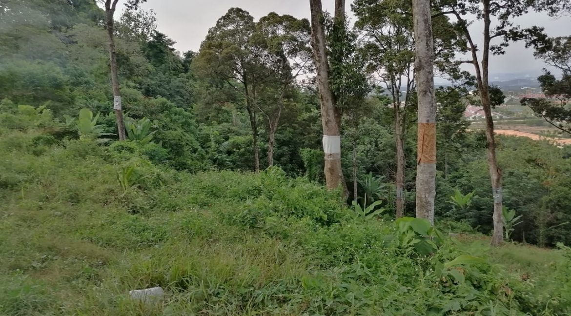 8d2c75ca-a7db-44b3-87f9-73e29d9217f0