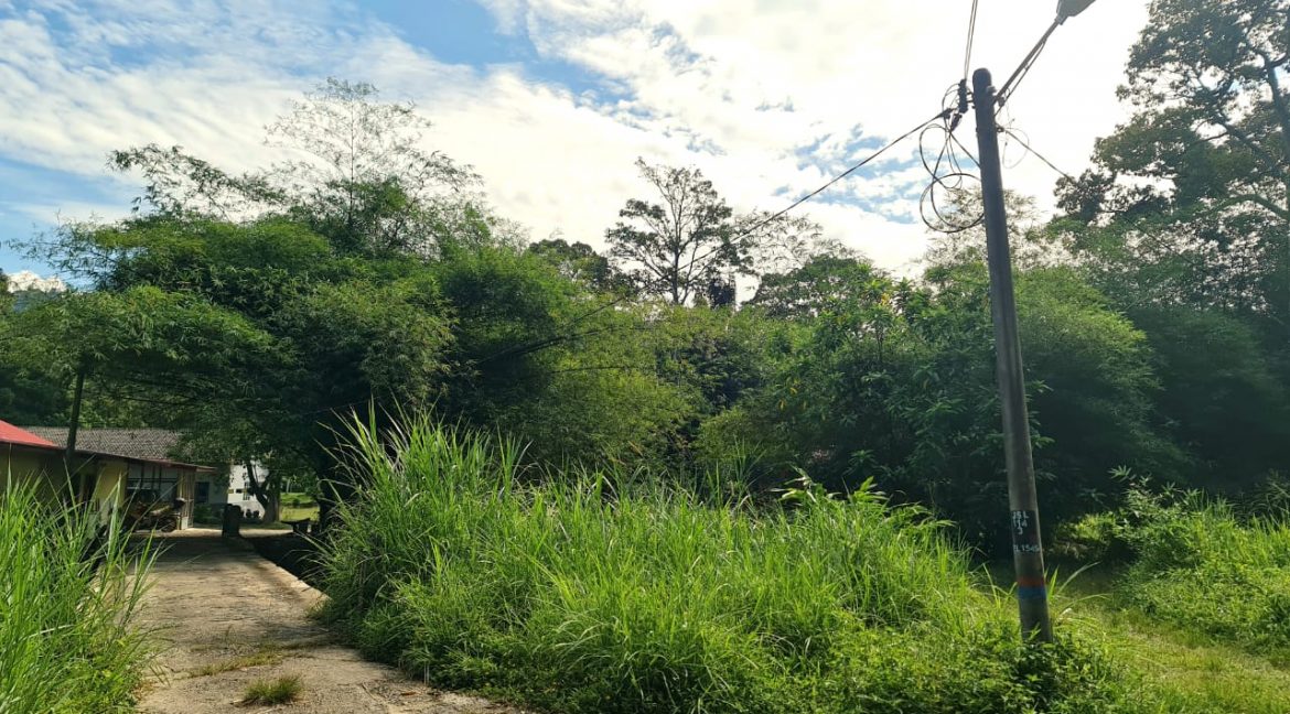 96968c60-fa18-4a97-847b-455bfcaa4ee6