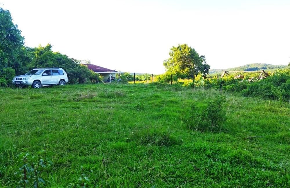 9a2b4e31-2417-4659-ab7d-9f8af228a16d