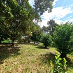 Dusun Sungai Lui Hulu Langat