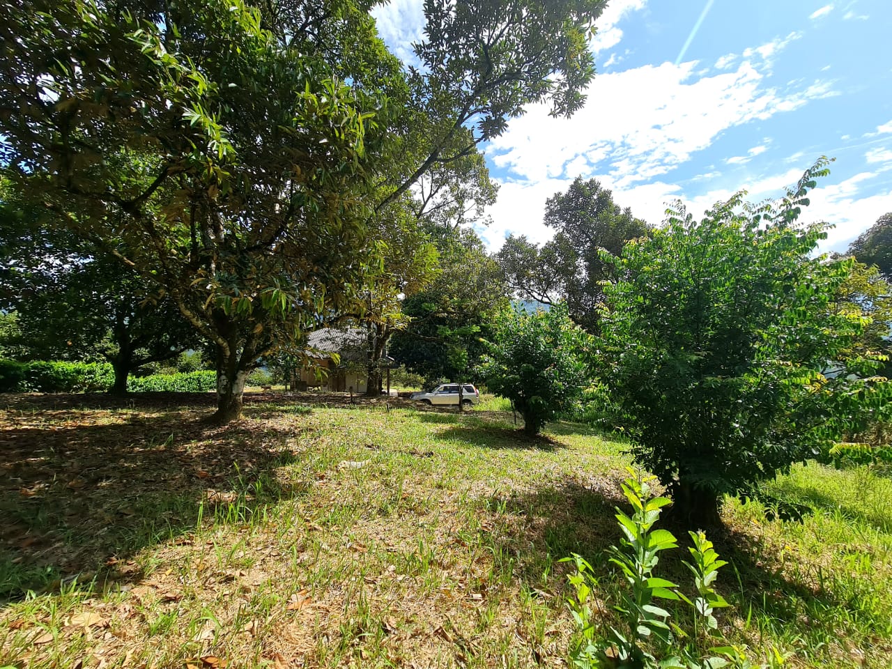 Dusun Sungai Lui Hulu Langat