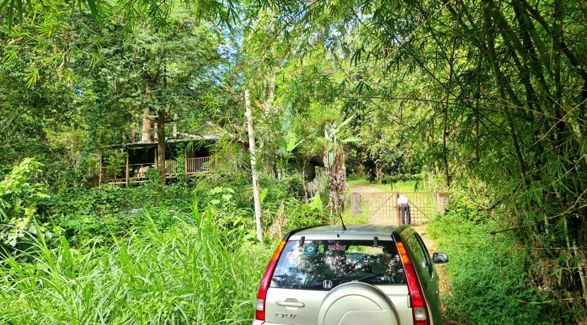 b3b3d002-ab77-479a-91b6-37b4604627fd