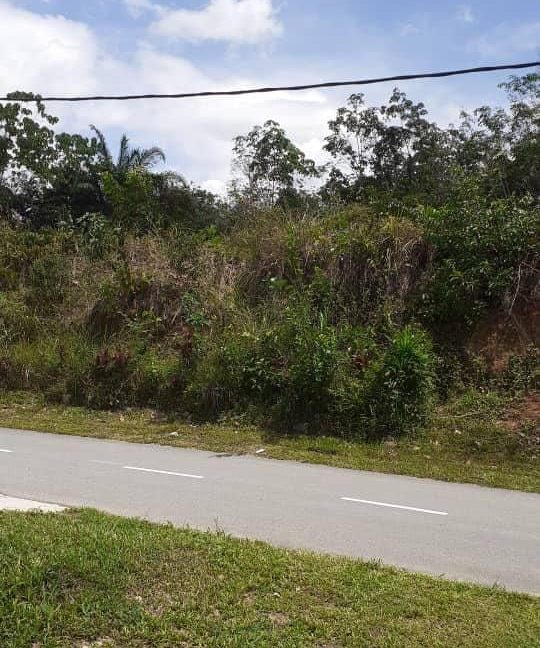 bfc7d8c3-2263-4d5b-a8de-c2943fe99e33