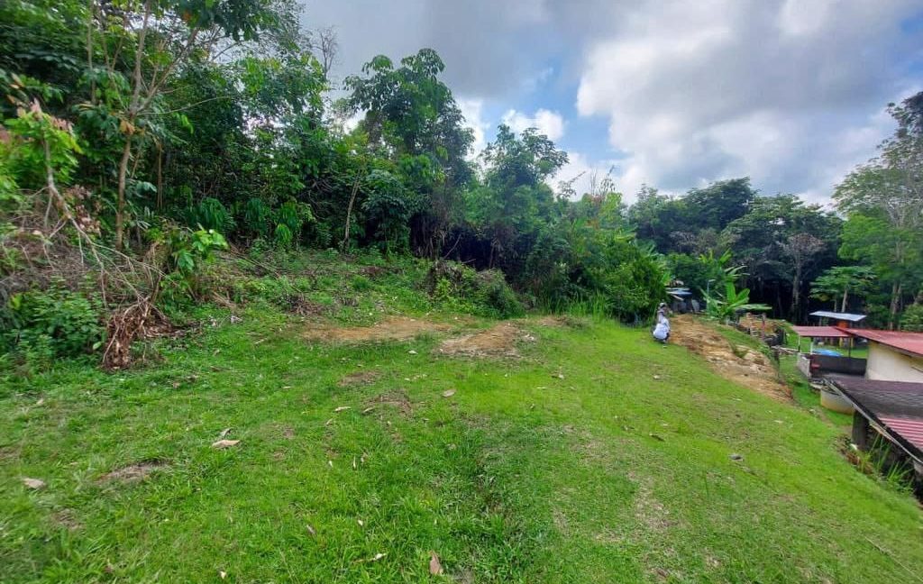 c27b4353-3b6c-45c7-b3ca-d694342cfcbf