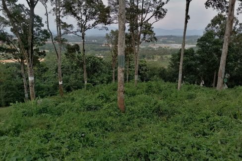 Dusun Durian Seremban