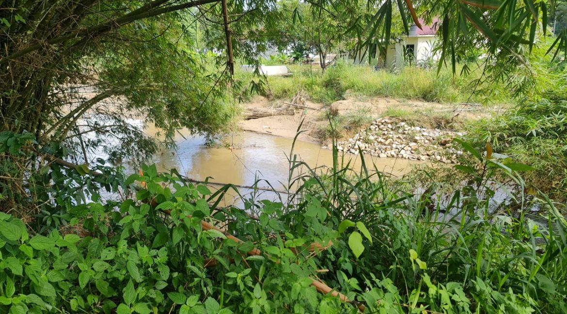 cb29c22f-8a5c-4356-8978-7bad29760a8f