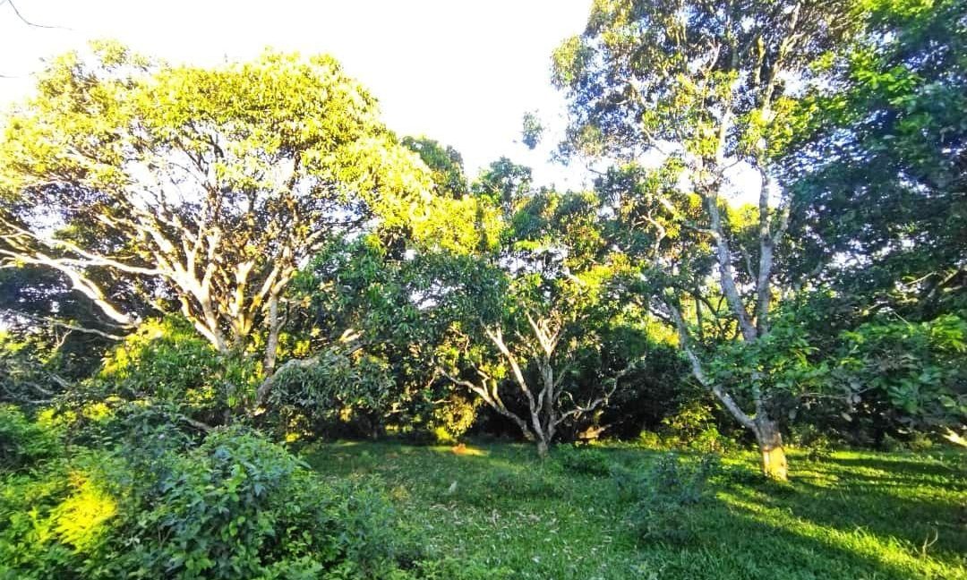 d5e55bd8-88f0-427a-925f-0c2c7647cd47