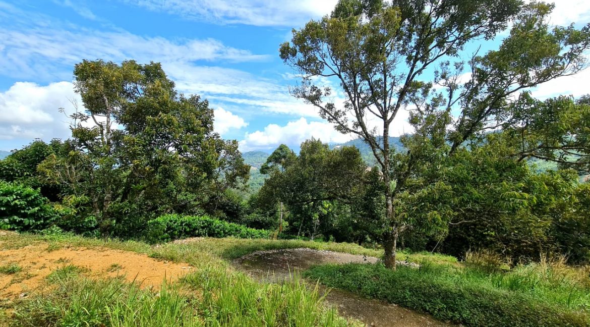 e9e1fb88-2170-414b-b36c-f78eab160a51