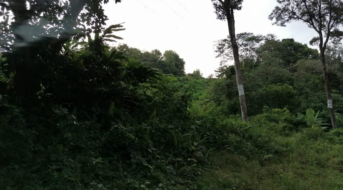 eb970550-031b-41c6-8ebb-8dda1e883bde