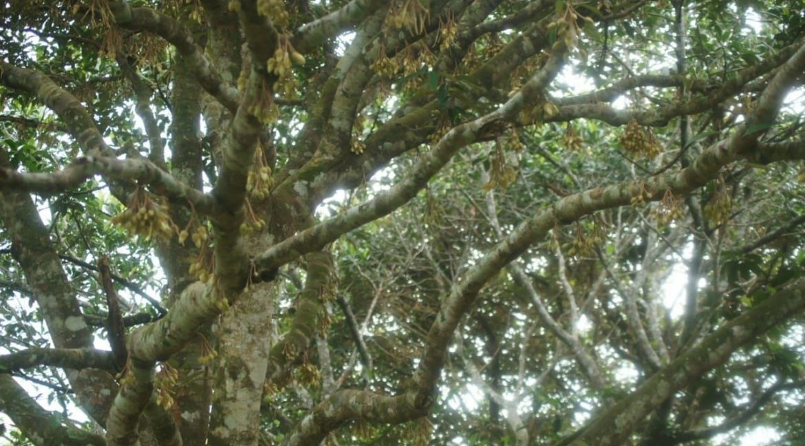 f4c7020c-3e19-481b-a20d-9c7a113f0925