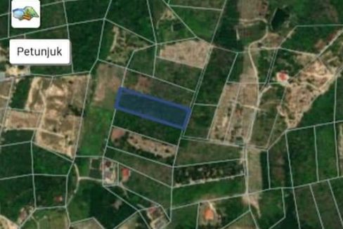 Tanah kebun Pertanian Lenggeng