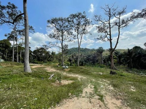 Tanah Kampung Kemuning Tampin