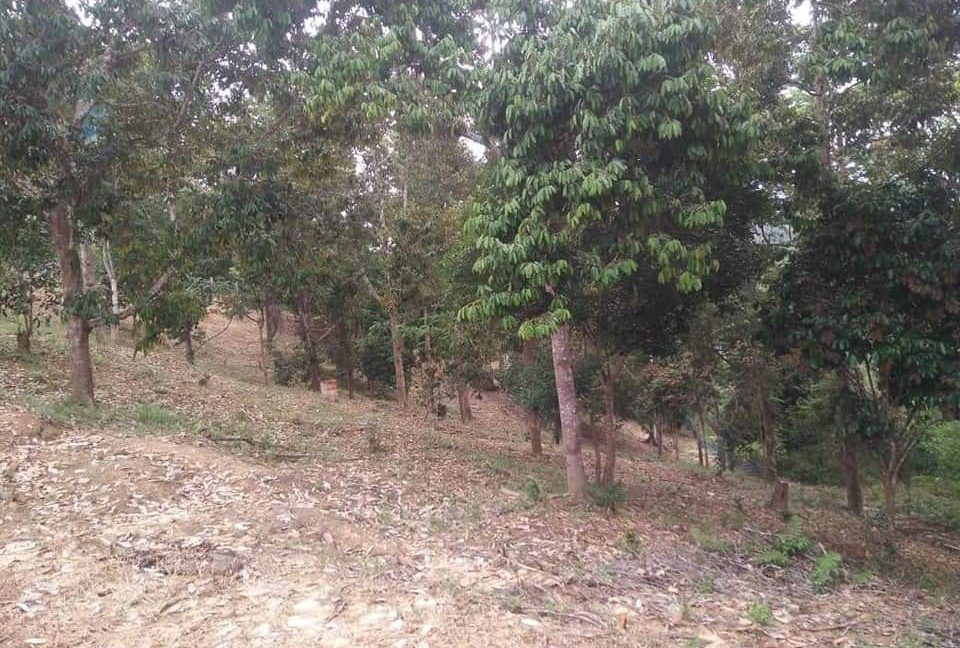 30702b8b-da6d-4849-b973-2df093ce5b61