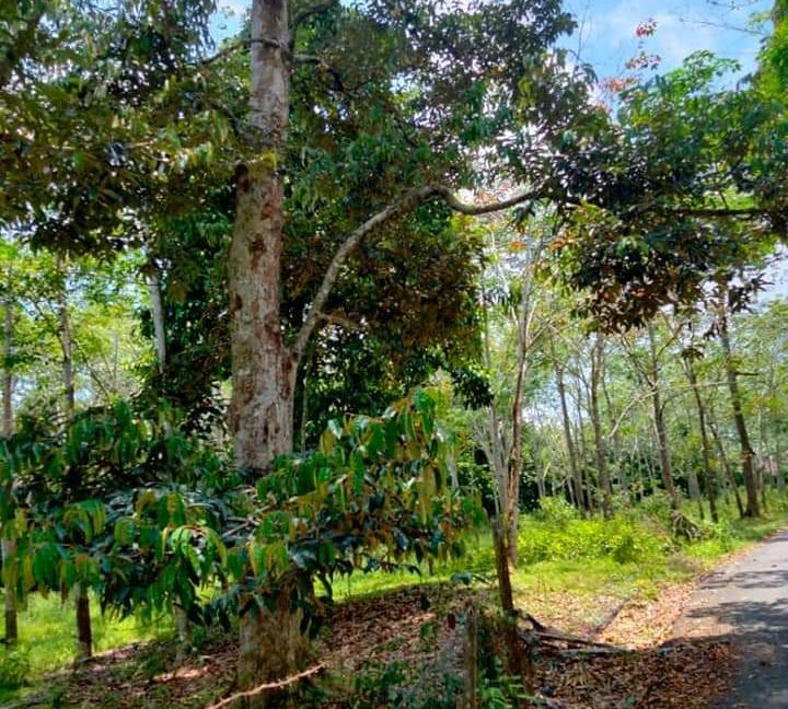 4a6ad4e8-b0d4-41f0-8186-3108aa039a84