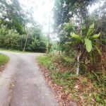 Tanah Kuala Klawang Jelebu