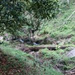 Tanah Batu 17 Hulu Langat