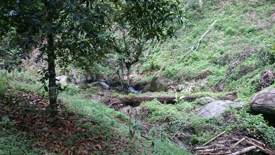 Tanah Batu 17 Hulu Langat