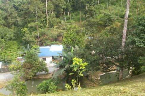 Tanah Dusun Sungai Congkak Hulu Langat