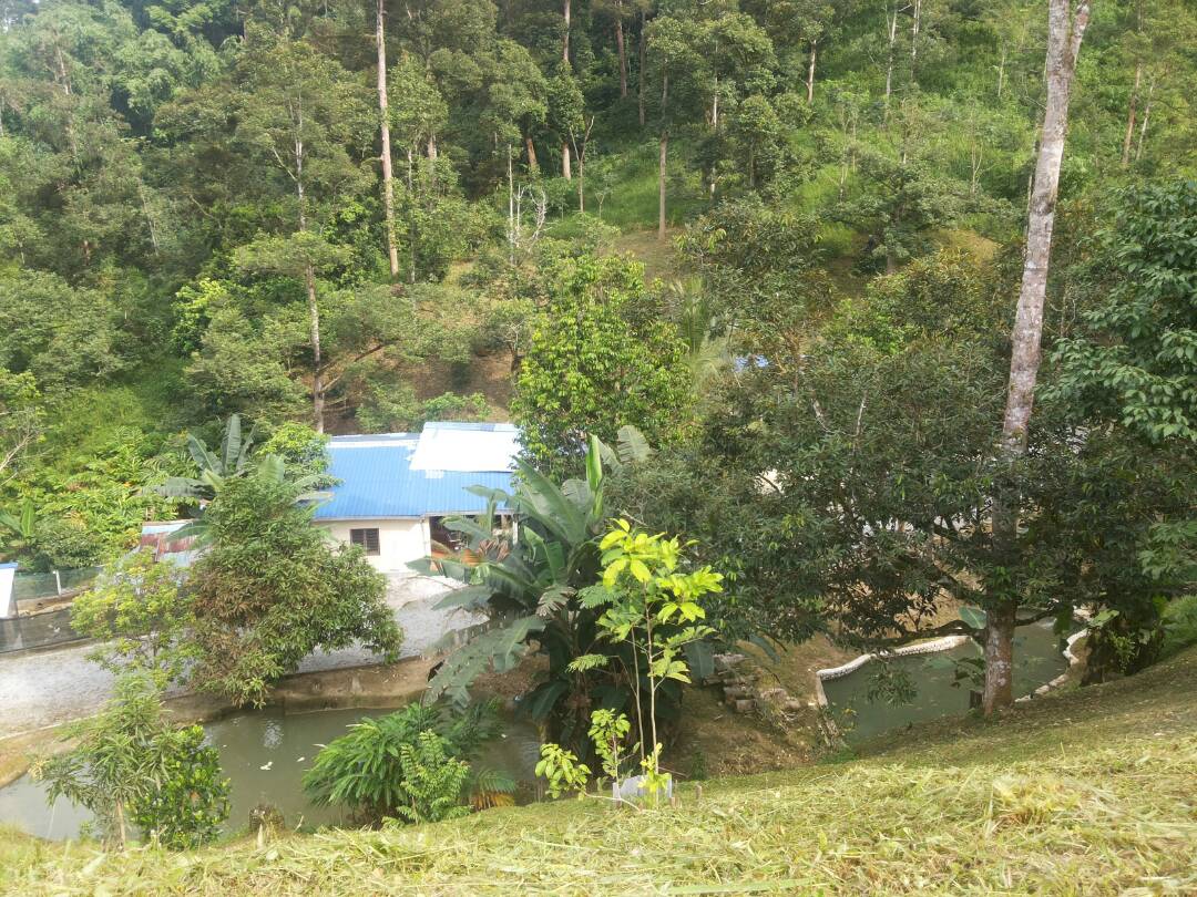 Tanah Dusun Sungai Congkak Hulu Langat