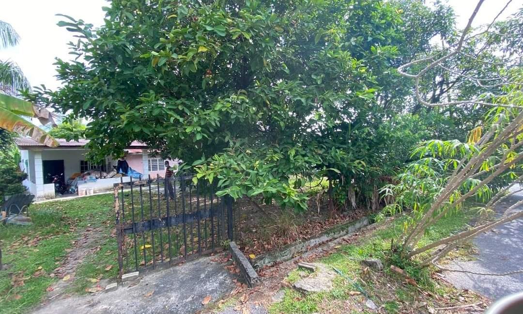 a54add21-c48e-4aec-903c-7fb320036582