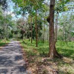 Tanah Air Mawang Johol Kuala Pilah