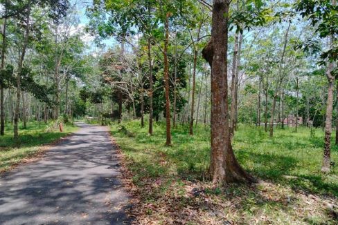 Tanah Air Mawang Johol Kuala Pilah