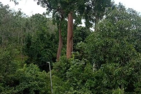 Tanah Air kempis Kampung Kepis ulu