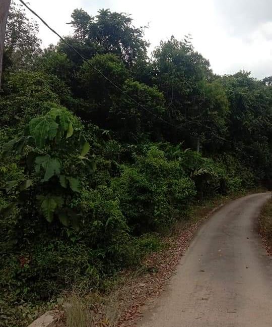 fb5841a9-67d9-42a0-80ea-015e149d4ecb