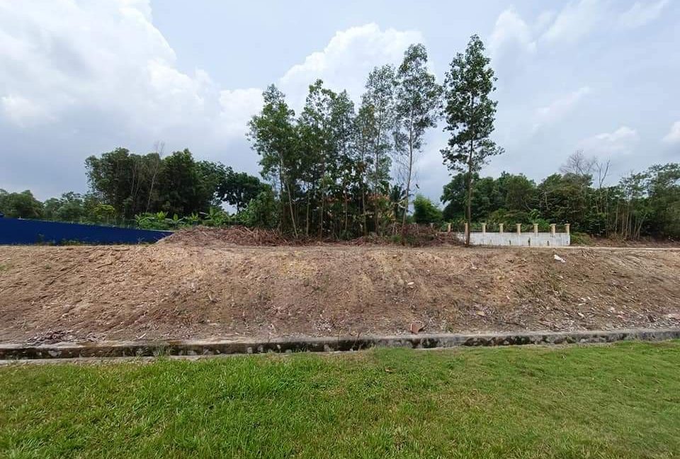 fbfacb37-f856-46ef-8592-156958a2747d