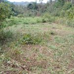 Tanah Kampung Sungai Klusai Lenggeng