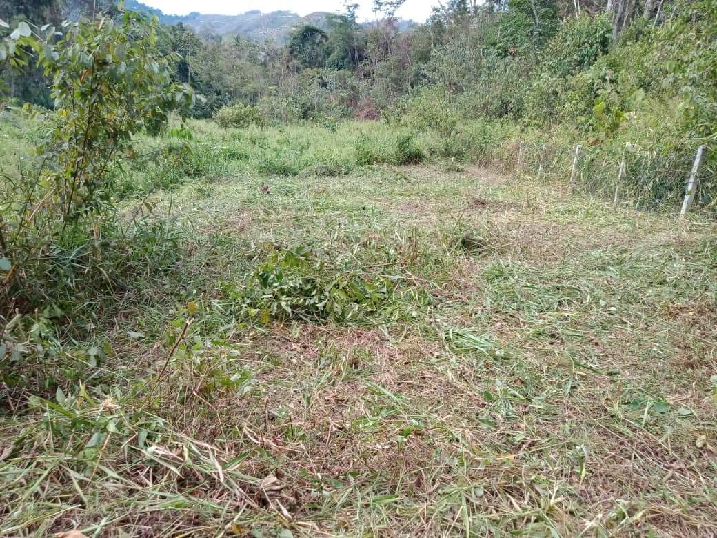 Tanah Kampung Sungai Klusai Lenggeng