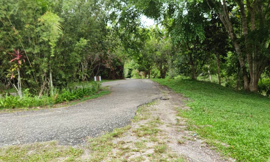 9369d69f-69af-421b-aac2-ce9521ab33b6