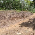 Tanah Kampung Purun Jelebu