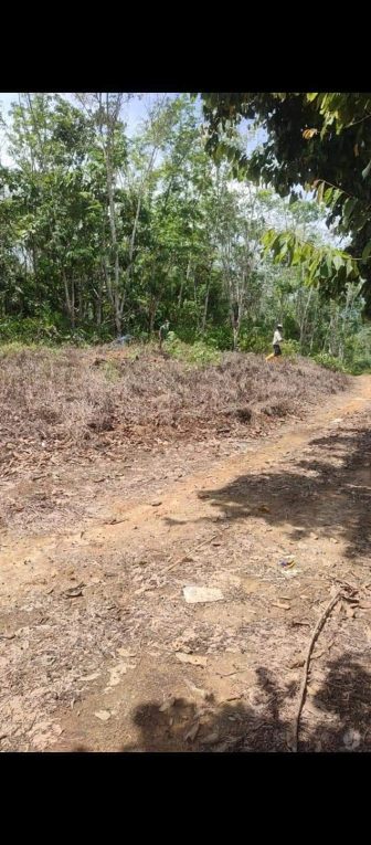 Tanah Kampung Purun Jelebu