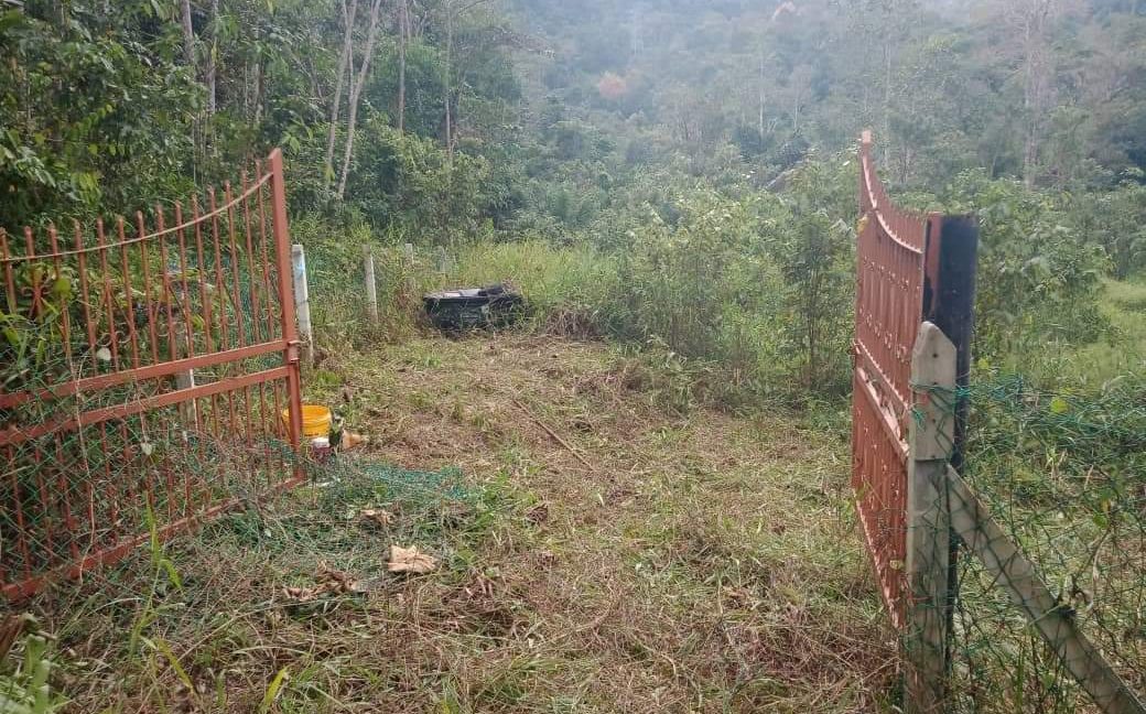 d368fca5-782f-4c96-92fe-9129e517b594