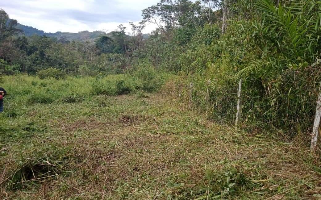 dd731fee-b28f-4798-aea3-b6b49974a18e