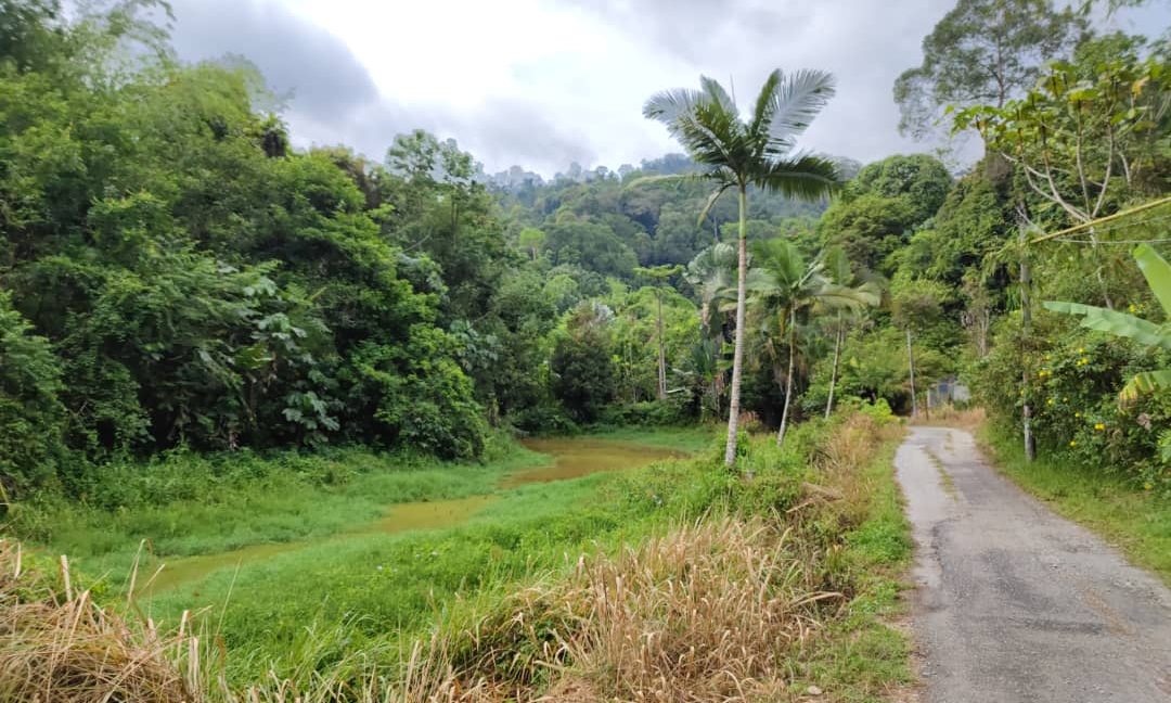 ffe8cf7c-f70e-45ae-a342-53c923472c53